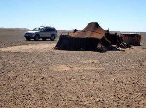 Paseos en camellos desierto Marruecos