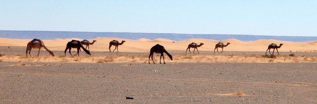 viajes baratos por el desierto Marruecos