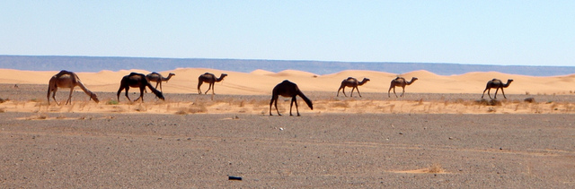 Excursiones Tours desierto Marruecos en 4x4